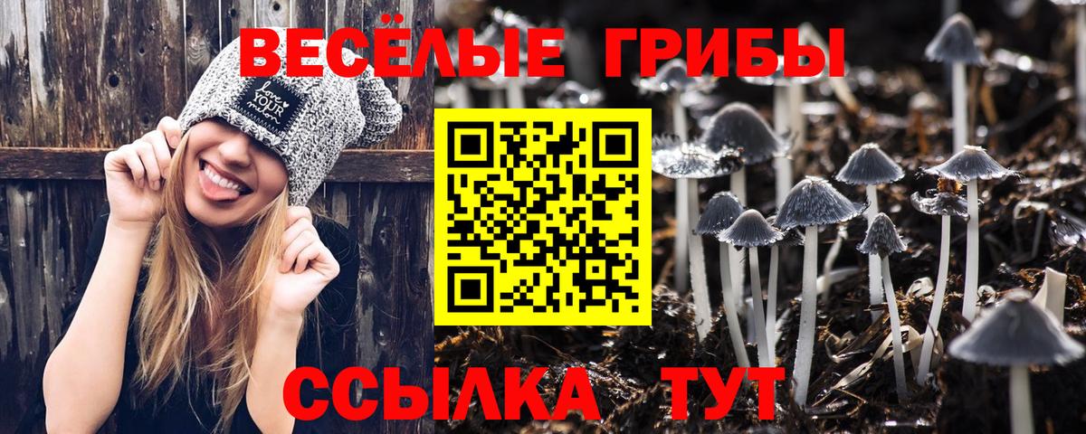 Галлюциногенные грибы MAGIC MUSHROOMS  Псилоцибиновые грибы Psilocybe  Вход с VPN  Димитровград 