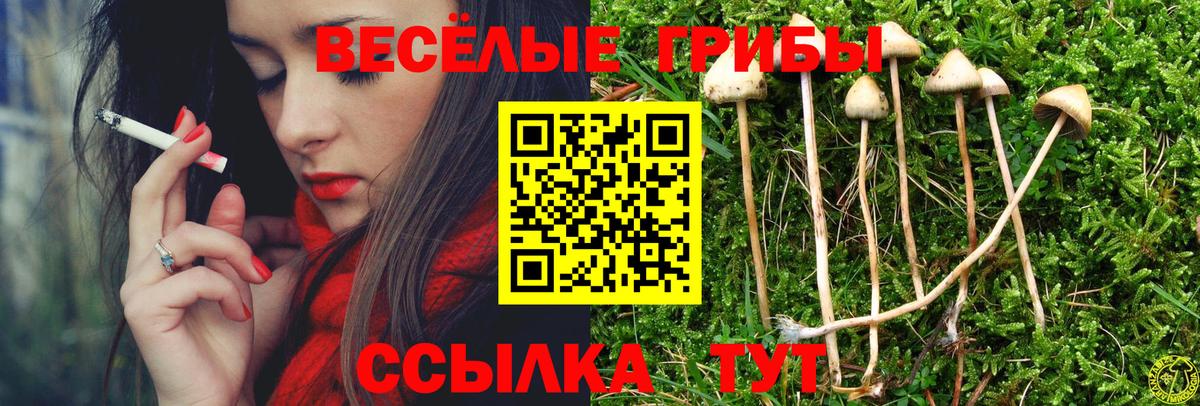 Галлюциногенные грибы GOLDEN TEACHER Димитровград